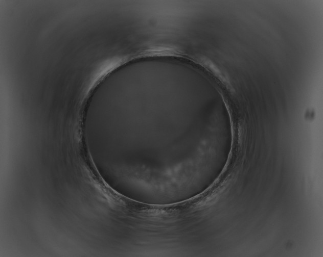 X0000091681405200708301510