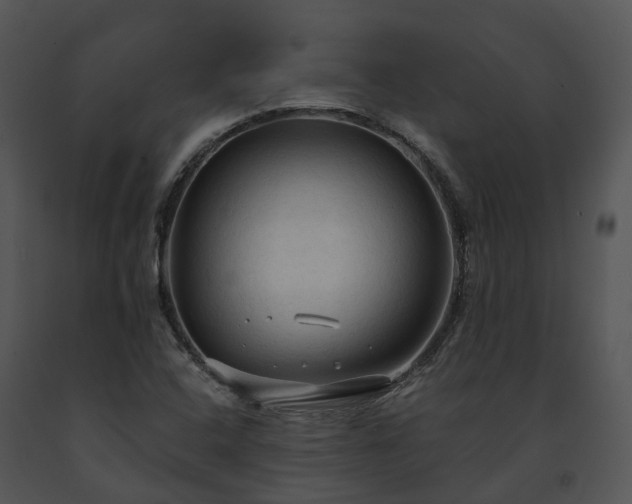 X0000091681408200708301510