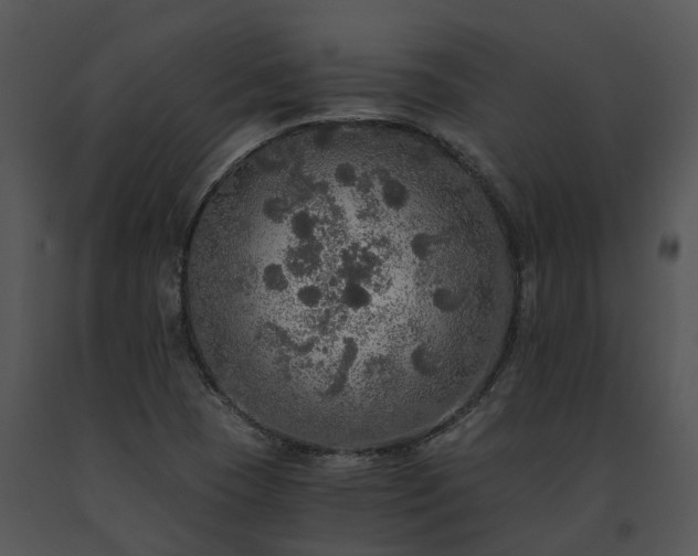 X0000091681409200708301510