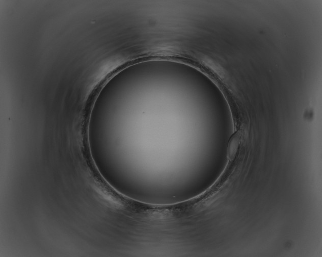 X0000091681410200708301510