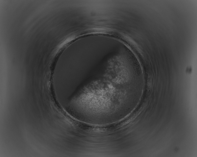 X0000091681411200708301510