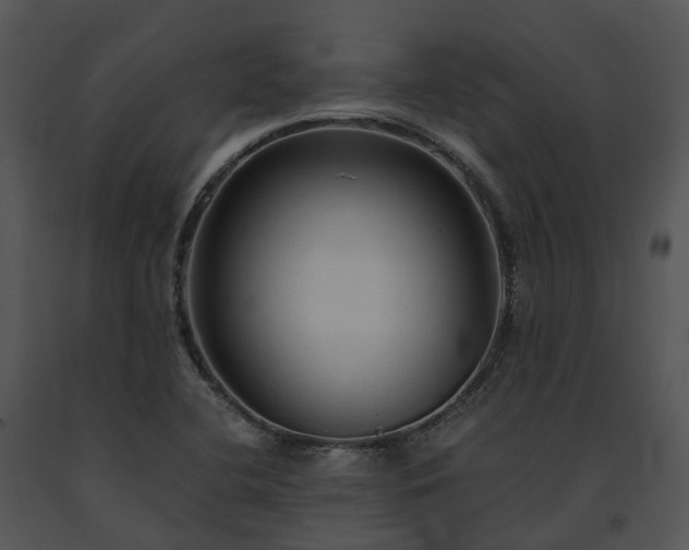 X0000091681412200708301510