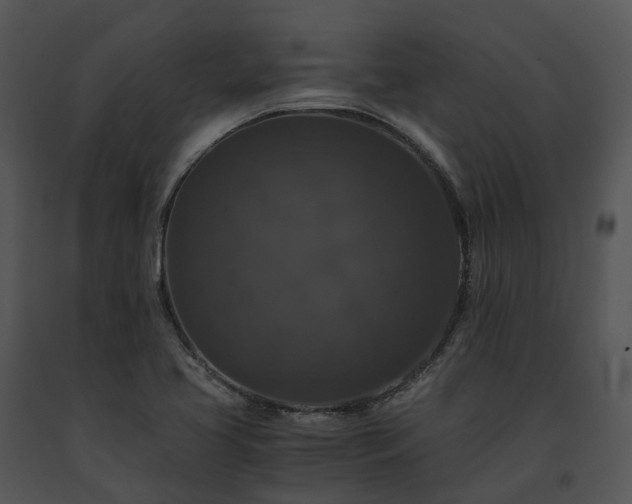X0000091681413200708301510