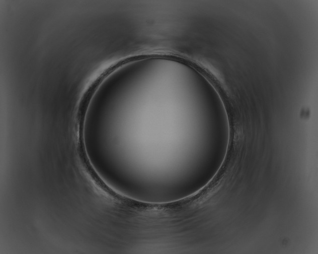 X0000091681414200708301510