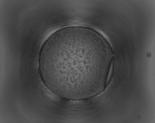 X0000091681415200708301510