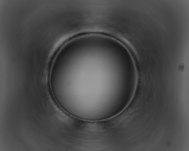 X0000091681416200708301510