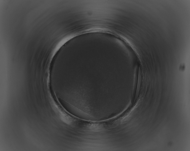 X0000091681418200708301511