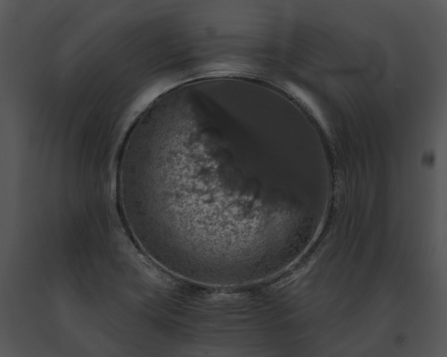 X0000091681419200708301511