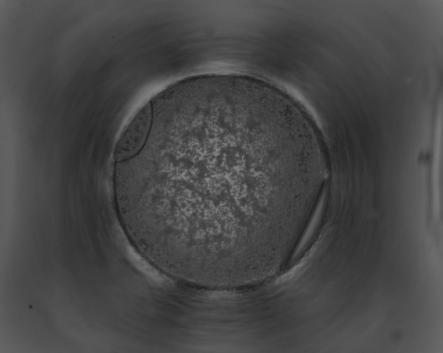 X0000091681421200708301511