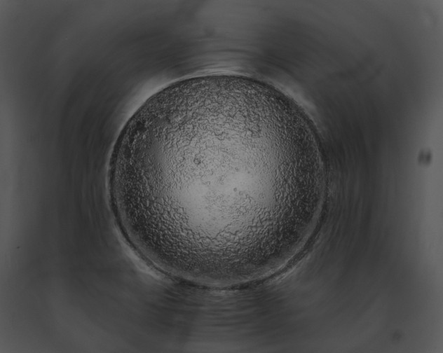 X0000091681423200708301511