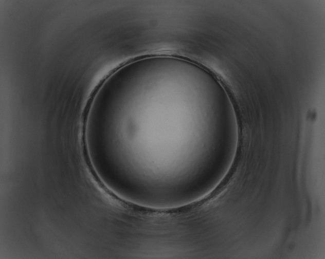 X0000091681424200708301511