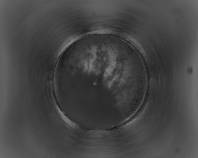 X0000091681425200708301511