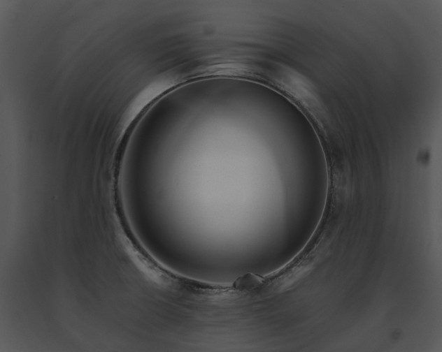 X0000091681426200708301511