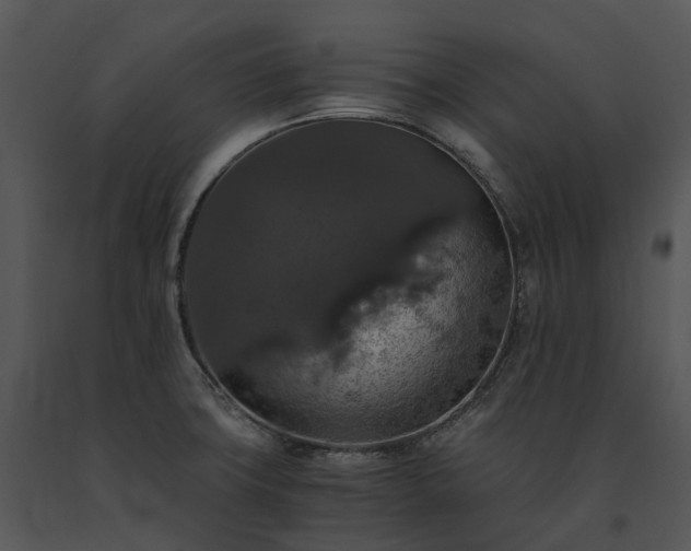 X0000091681427200708301511