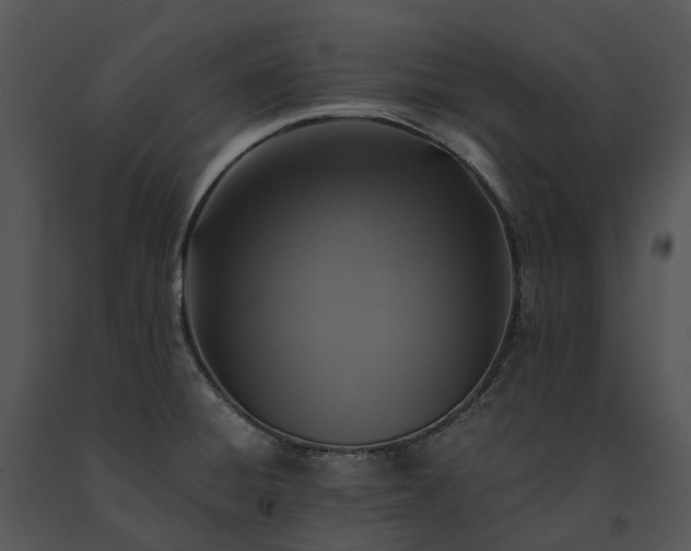 X0000091681428200708301511