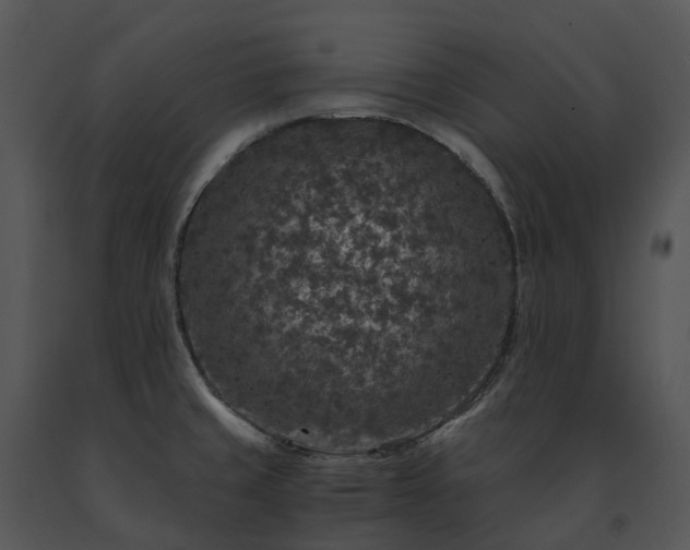 X0000091681429200708301511