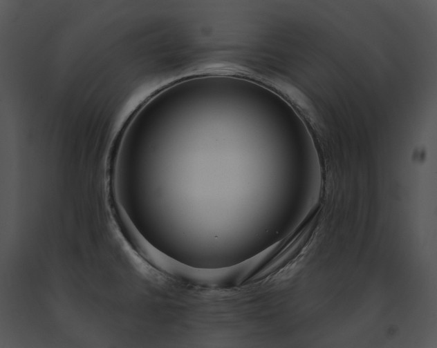 X0000091681430200708301511