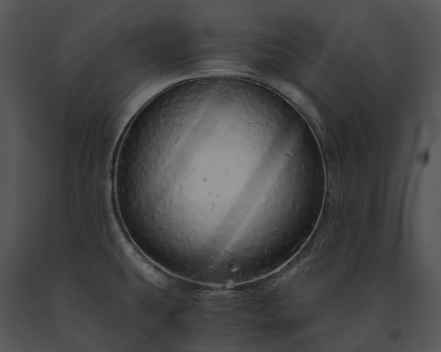 X0000091681431200708301511