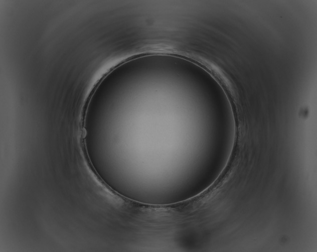 X0000091681432200708301511
