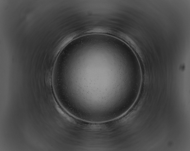 X0000091681433200708301511