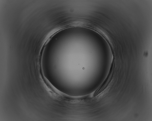 X0000091681434200708301511
