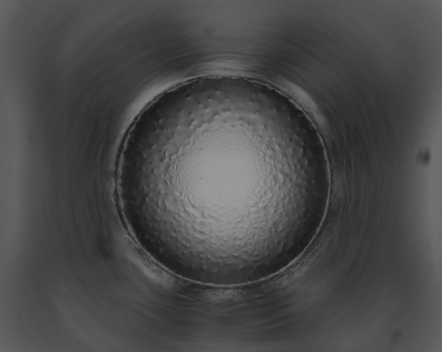 X0000091681435200708301511