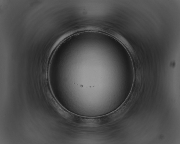 X0000091681436200708301511
