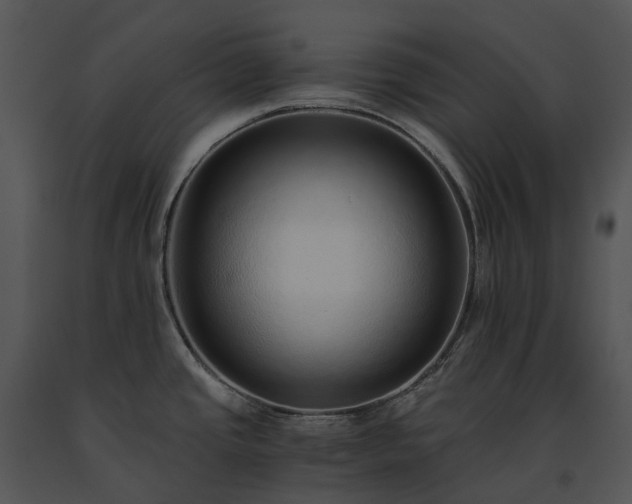 X0000091681437200708301511