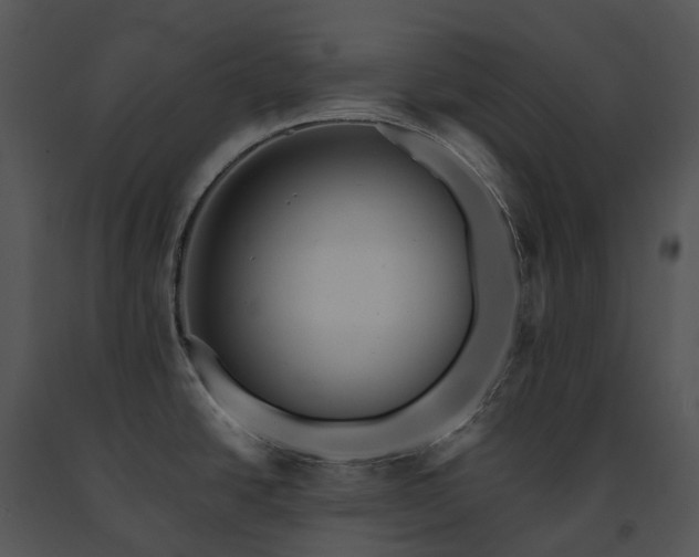 X0000091681438200708301511