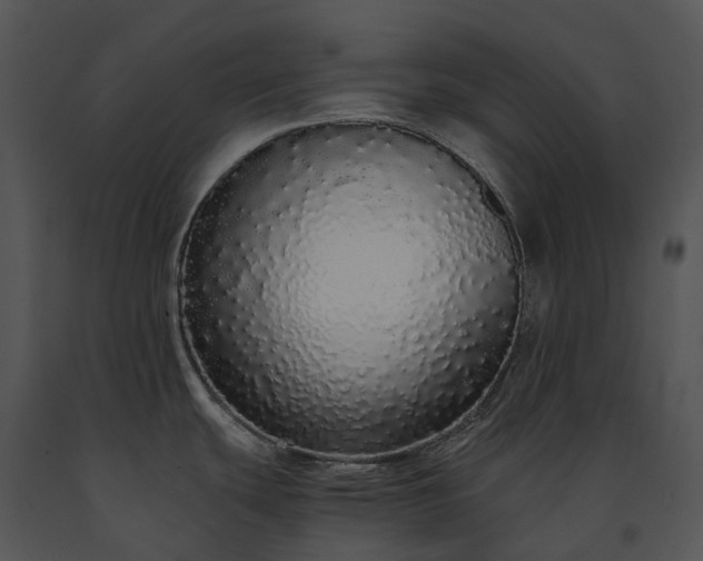 X0000091681439200708301511
