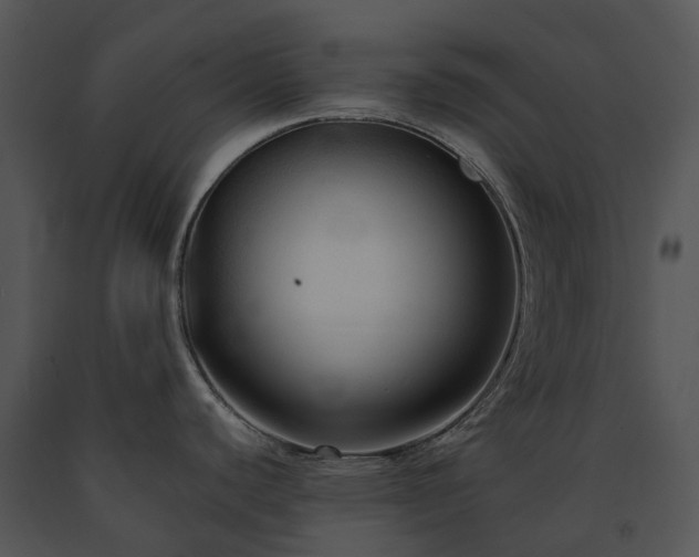 X0000091681440200708301511