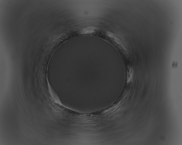 X0000091681441200708301510