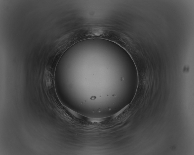 X0000091681442200708301510