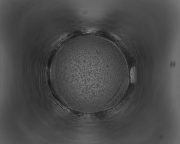 X0000091681443200708301510