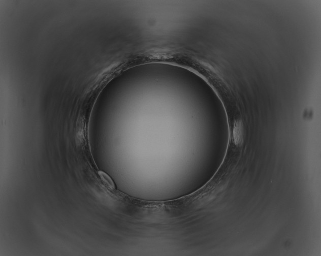 X0000091681444200708301510