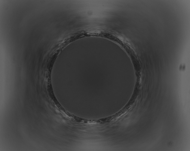 X0000091681445200708301510