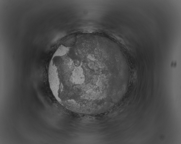 X0000091681446200708301510