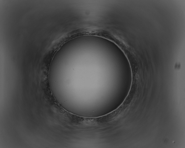 X0000091681447200708301510
