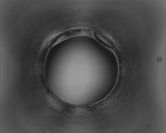 X0000091681448200708301510