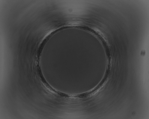 X0000091681449200708301510