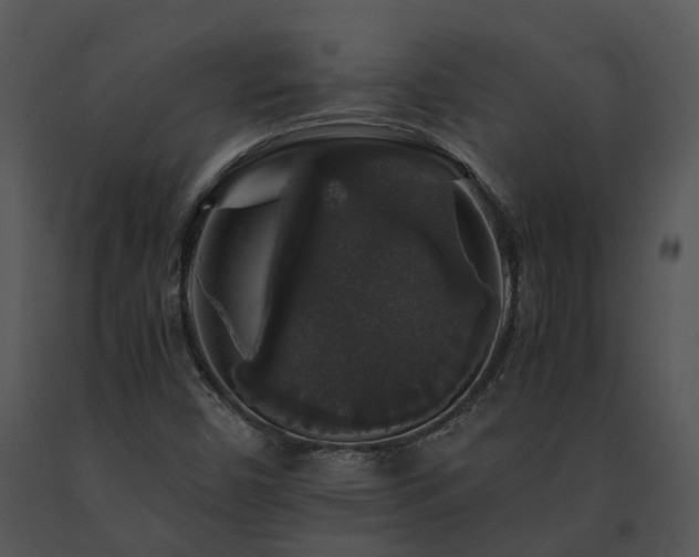 X0000091681450200708301510