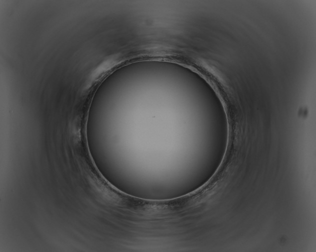X0000091681451200708301510