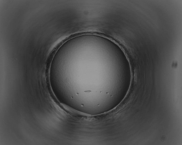 X0000091681452200708301510