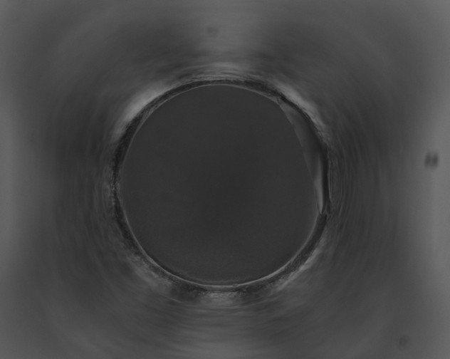 X0000091681453200708301510