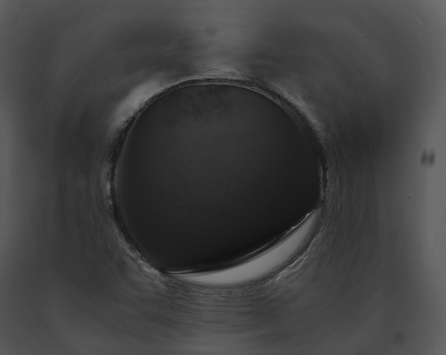 X0000091681455200708301510