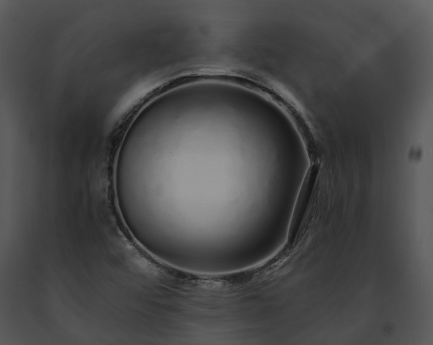 X0000091681456200708301510