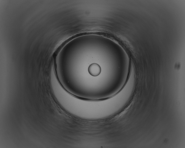 X0000091681457200708301510