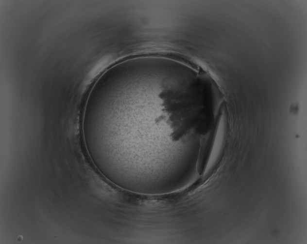 X0000091681459200708301510