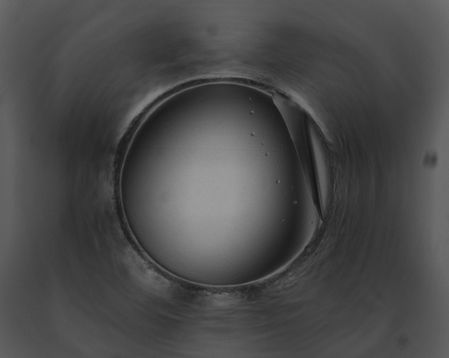 X0000091681460200708301510