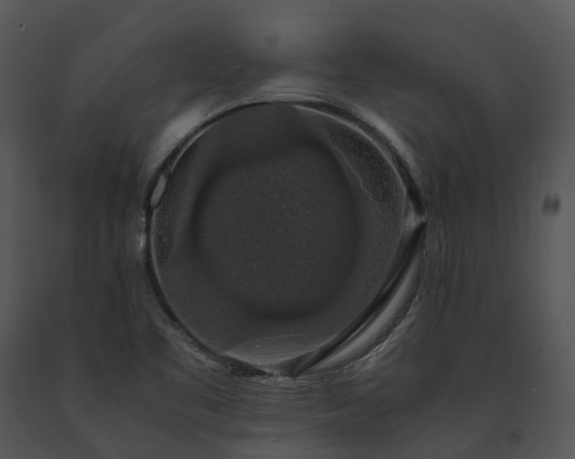 X0000091681461200708301510
